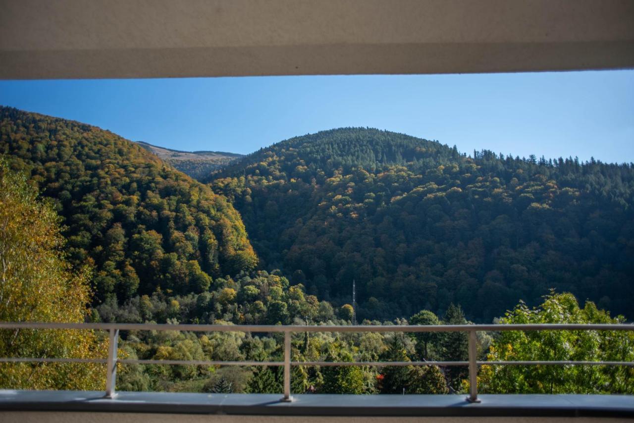 Blue Forest Studio Sinaia Eksteriør bilde
