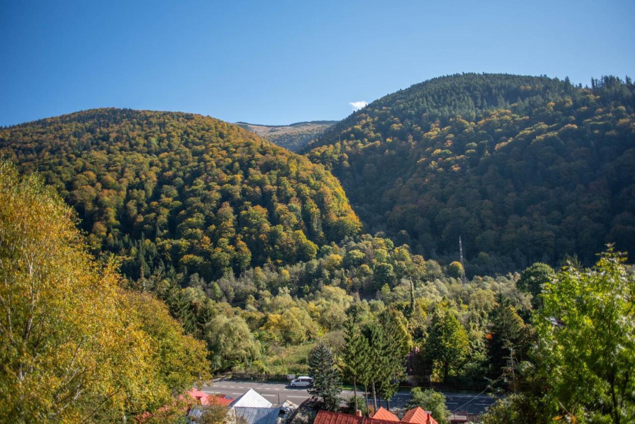 Blue Forest Studio Sinaia Eksteriør bilde
